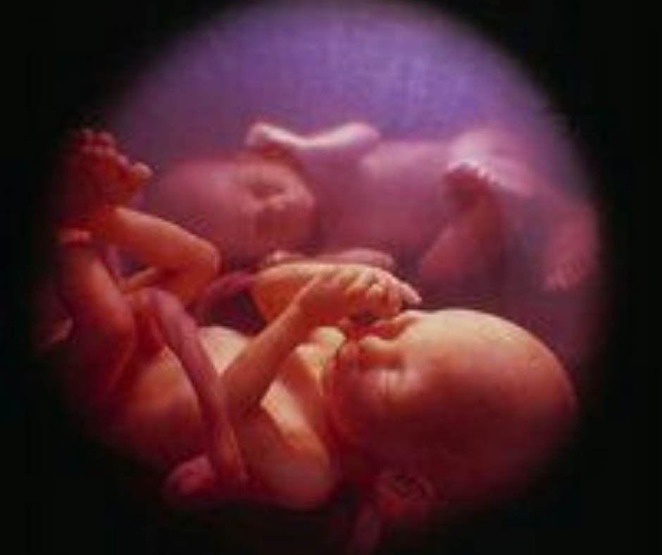 scanning